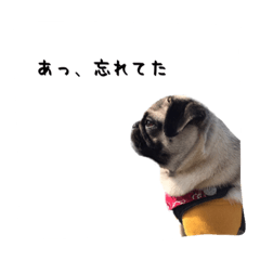 [LINEスタンプ] パグパグな日々