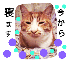 [LINEスタンプ] 猫と愉快な仲間たち パート4