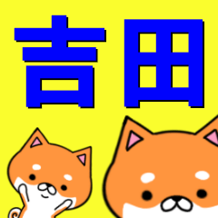 [LINEスタンプ] 超★吉田(よしだ・よした・きった・きちだ)