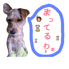 [LINEスタンプ] one ear standing dog salang