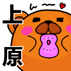 [LINEスタンプ] 上原より愛を込めて（名前スタンプ）