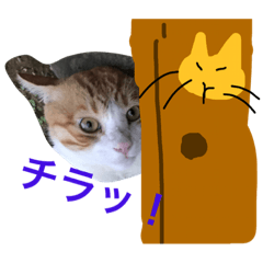 [LINEスタンプ] キチにゃん−パート2