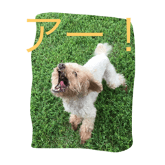 [LINEスタンプ] こぴん