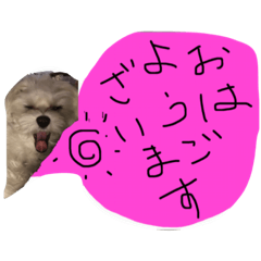 [LINEスタンプ] ノイン流吹き出し