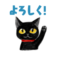 [LINEスタンプ] Cat Cat Kuro