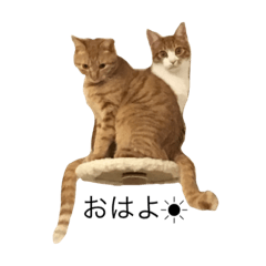 [LINEスタンプ] ほっぷ＆びあ