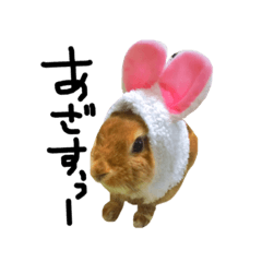 [LINEスタンプ] うーちゃん＆さくら