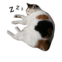 [LINEスタンプ] うちのネコとネコ