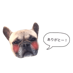 [LINEスタンプ] ちゃんぶる