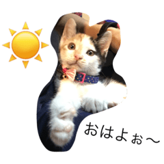 [LINEスタンプ] yuzuminlove