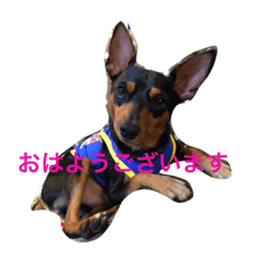 [LINEスタンプ] ウィルとリアンとクレールと✨