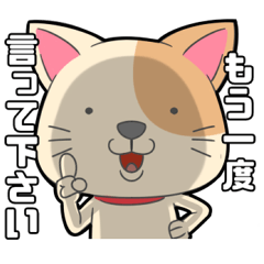 [LINEスタンプ] 夫婦でよく使う会話スタンプ