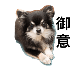 [LINEスタンプ] トレプン看板犬ミルトちゃんのつぶやきの画像（メイン）