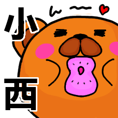 [LINEスタンプ] 小西より愛を込めて（名前スタンプ）