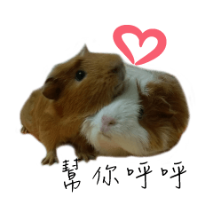 [LINEスタンプ] The Guinea pigs-Qmao＆Momo