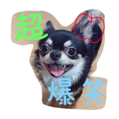 [LINEスタンプ] myfamily2