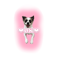 [LINEスタンプ] 福乃輔と縁乃助