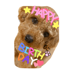 [LINEスタンプ] もこちゃんスタンプ