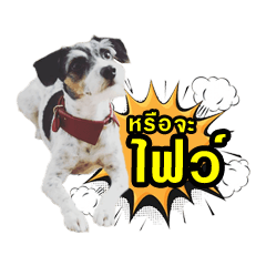 [LINEスタンプ] Jack Russel