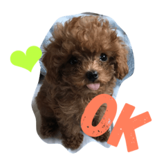 [LINEスタンプ] はっぴー．らっきー