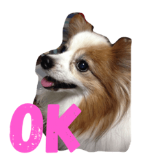 [LINEスタンプ] ぺぺきちと仲間