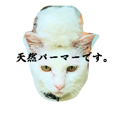 [LINEスタンプ] ねっこっ！
