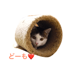 [LINEスタンプ] ティトくんのささやき