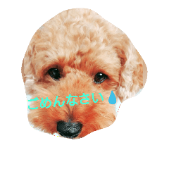 [LINEスタンプ] チョコわんこ