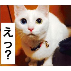 [LINEスタンプ] グーグーグータンゴンチャロフのSticker