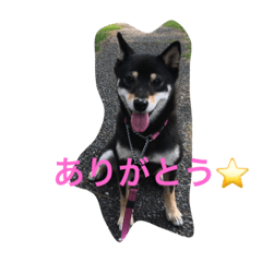 [LINEスタンプ] My life (by Sakura).
