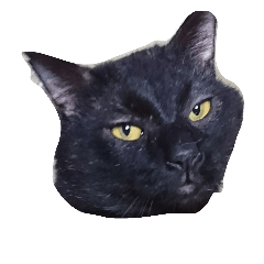 [LINEスタンプ] uthinokotathi