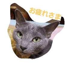 [LINEスタンプ] あずきとあんこ