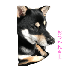 [LINEスタンプ] サブサスケ
