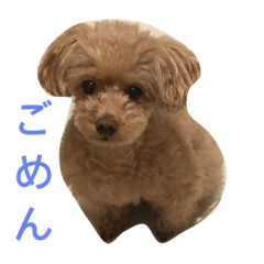 [LINEスタンプ] p.a