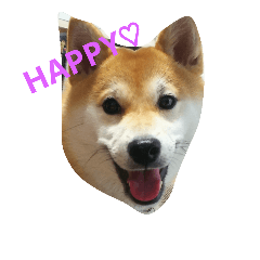 [LINEスタンプ] HAPPY AROMA