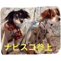 [LINEスタンプ] ナビスコブラザーズ