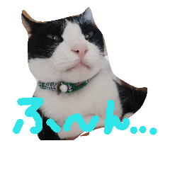 [LINEスタンプ] 僕チャーリー！
