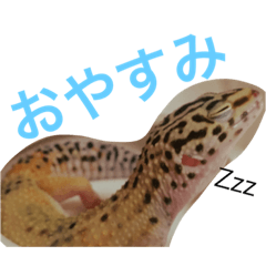 [LINEスタンプ] びーんず、