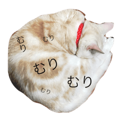 [LINEスタンプ] モフ次郎 1ニャン