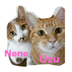 [LINEスタンプ] Uzu＆Nene