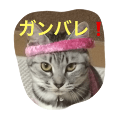 [LINEスタンプ] ニアとアン