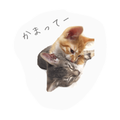 [LINEスタンプ] エルとロコ