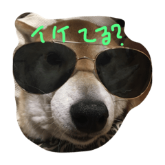 [LINEスタンプ] 大好き豆次郎