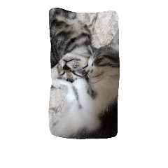 [LINEスタンプ] 子猫産まれました。