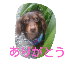 [LINEスタンプ] marosano2