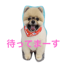 [LINEスタンプ] mocota