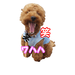 [LINEスタンプ] マルプータルトのスタンプ