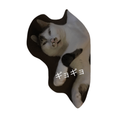 [LINEスタンプ] ソラとマロ