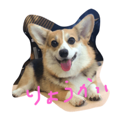[LINEスタンプ] 心春ちゃん