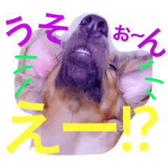 [LINEスタンプ] ちゃこちゃんのさり気なく物申す.5の画像（メイン）